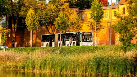 VVR Stralsund
