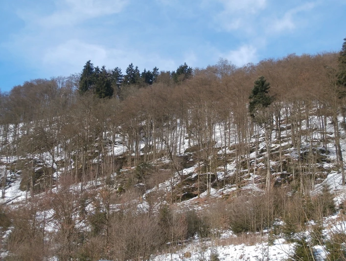 Naturschutzgebiet Grebensteine