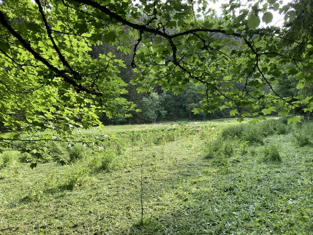 Wiese im Strycktal