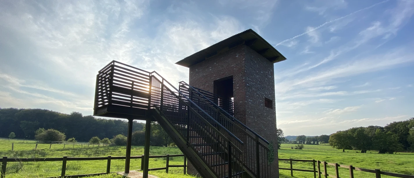 21-09 Landschaftsfenster Geestrand (21).jpg