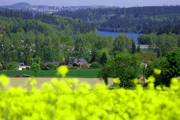 Blick auf den Sorpesee