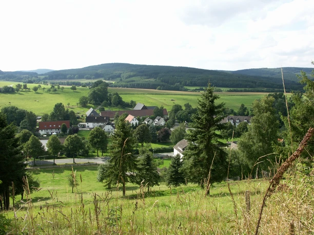 Seidfeld