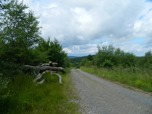 Blick vom Flanenberg