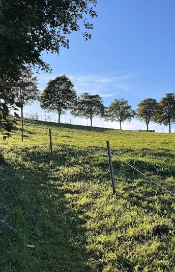 Wiesenpfad unterhalb der Meinhardus-Mattenschanzen