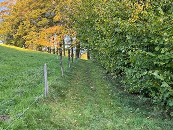 Pfad zur Aggerquelle