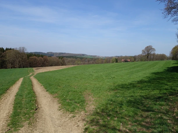 Forstwege führen uns über Wiesen und Felder