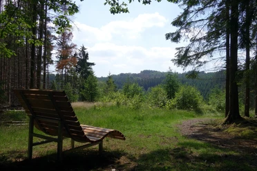 Das Waldsofa am "Erlebnispunkt Schanhollen" lädt zum Verweilen ein Blick aus dem Wald in die Ferne. Im Vordergrund ein Waldsofa. Rechts und links Nadelbäume. Am Horizont Wald und hellblauer Himmel.