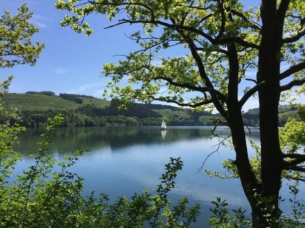 Hennesee Ein See mit ruhiger Wasseroberfläche, umgeben von grüner Natur, unter klarem, blauem Himmel.