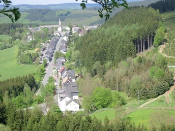 Blick über Andreasberg