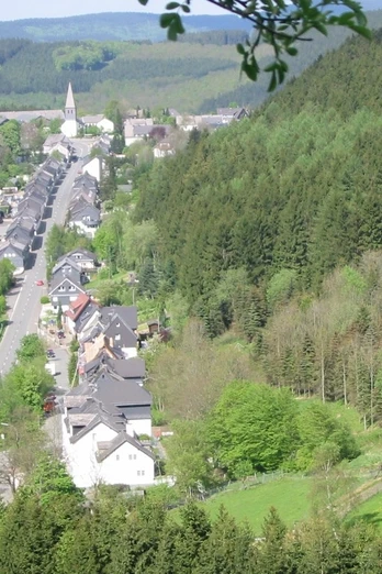 Blick über Andreasberg