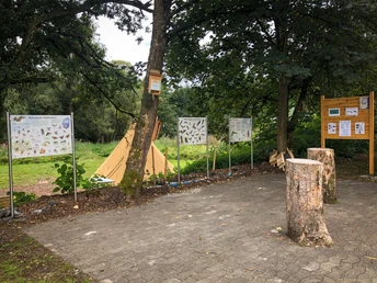 Treffpunkt des Naturranger e.V. Der Treffpunkt des Naturranger e.V. zeigt einen Außenbereich mit Schautafeln über Insekten. Im Hintergrund sind eine grasbewachsene Fläche und ein Zelt erkennbar. Vorne stehen Baumstämme als Sitzgelegenheiten.