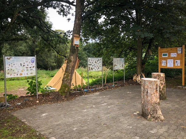 Treffpunkt des Naturranger e.V. Der Treffpunkt des Naturranger e.V. zeigt einen Außenbereich mit Schautafeln über Insekten. Im Hintergrund sind eine grasbewachsene Fläche und ein Zelt erkennbar. Vorne stehen Baumstämme als Sitzgelegenheiten.