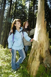 Wandern rund um Nuttlar