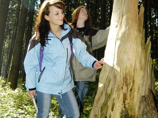 Wandern rund um Nuttlar