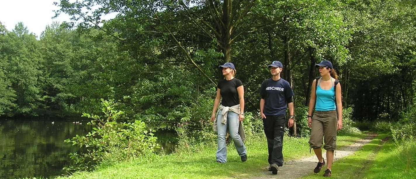 Wandern bei Meschede