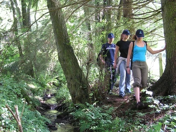 Wandern auf naturbelassenen Wegen im Sauerland
