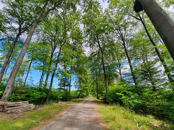Auf dem Mescheder Höhenwanderweg