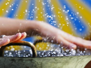 Wasserspringschale in der Welt der Sinne Wasserspringschale in der Welt der Sinne