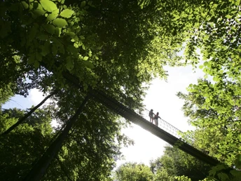 Hängebrücke bei Kühhude am Rothaarsteig