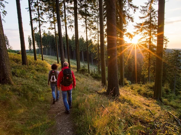 Wanderer auf dem Rothaarsteig