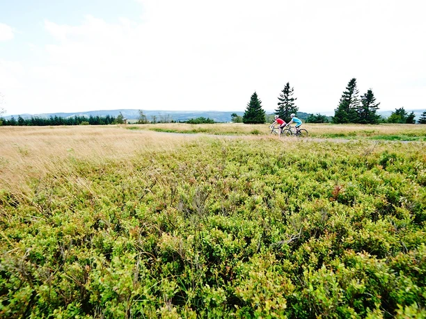 In der Hochheide-Landschaft des Kahlen Astens