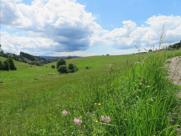 Rund um Elspe