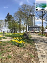 Aussichtsturm Hohe Bracht mit Frühlingsblumen, Bäumen und Naturpark-Logo