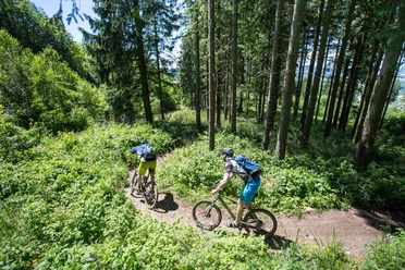 Zwei Mountainbiker fahren auf schmalem Waldweg durch dichten grünen Nadelwald.