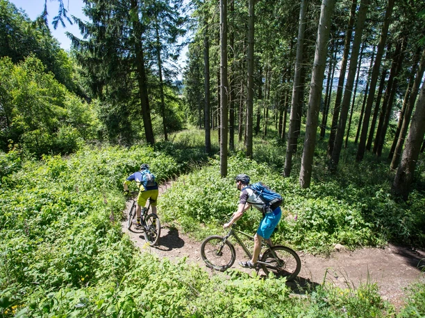Zwei Mountainbiker fahren auf schmalem Waldweg durch dichten grünen Nadelwald.