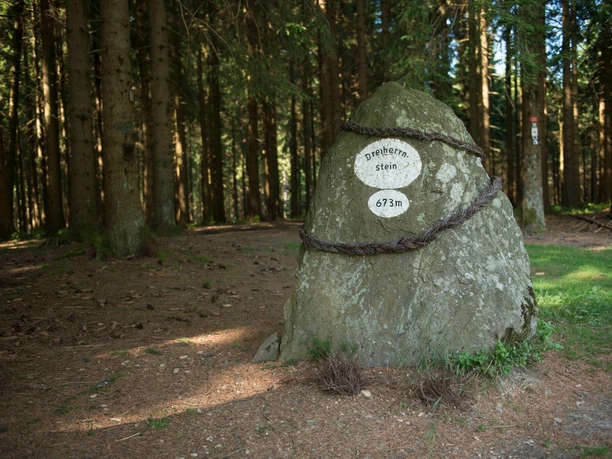 Dreiherrnstein Dreiherrnstein mit Höhenangabe 673 m an einem Waldweg im dichten Fichtenwald