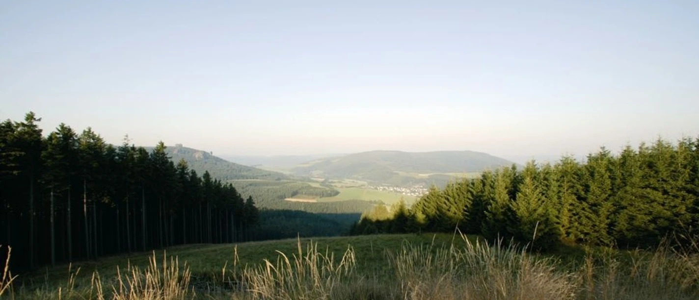Landschaft Brilon