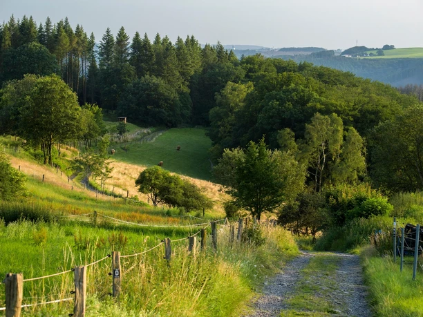 Weg hinauf von Altena zum Hegenscheid Landschaftsbild auf dem Weg hinauf von Altena zum Hegenscheid