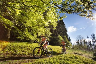 Zwei Mountainbiker fahren auf einem Waldpfad durch sonniges Grün im Sauerland