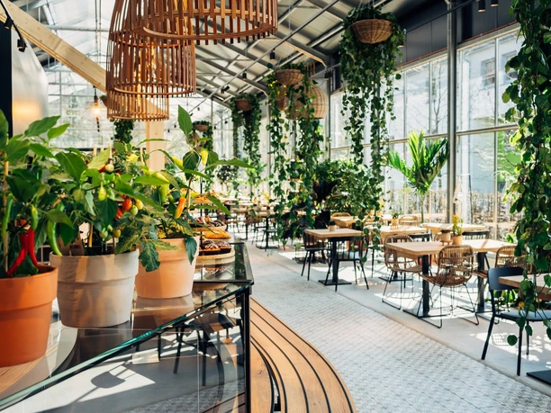 Impressionen aus Kremers Gartencafé