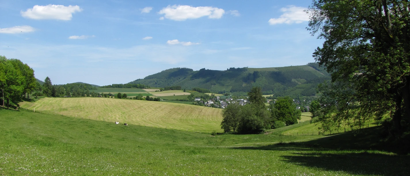 Weite Wiesen und Wälder bei Eslohe mit Dorf im Tal unter blauem Himmel