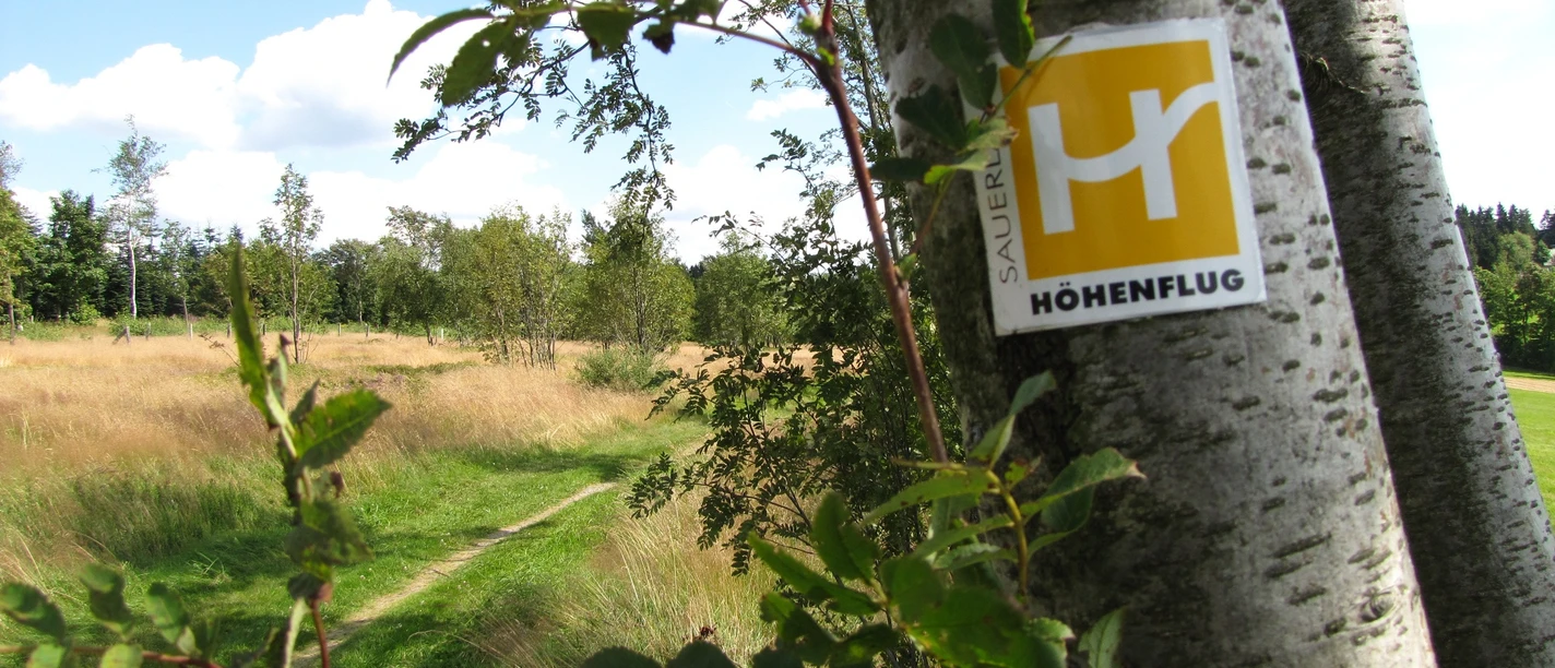 Wiesenweg bei Altastenberg