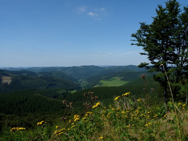 Wanderung Rund um den Härdler