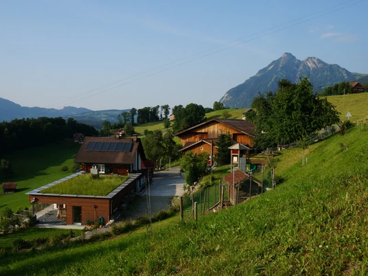 Hofbild Sommer Erlebnishof Weid