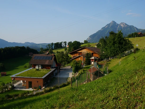 Hofbild Sommer Erlebnishof Weid