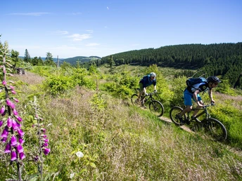 Sauerland MTB