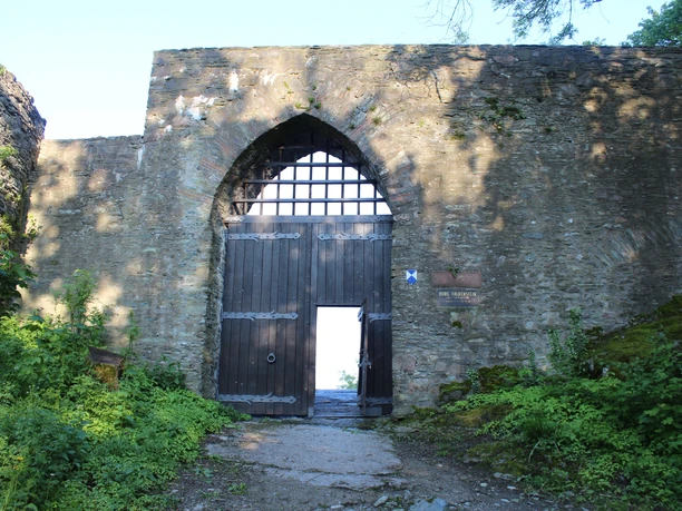 Burgruine Falkenstein