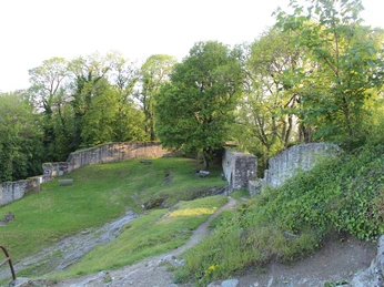 Burgruine Falkenstein