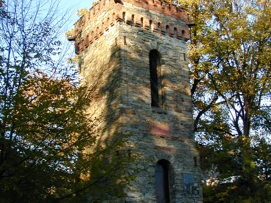 Aussichtsturm Burgwarte (Burgbergturm)