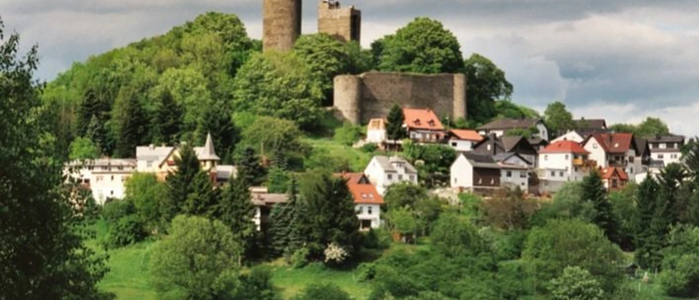 Blick auf Burg Reifenberg