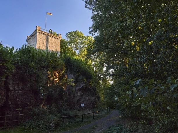 Buttenturm an der Waldroute in Marsberg
