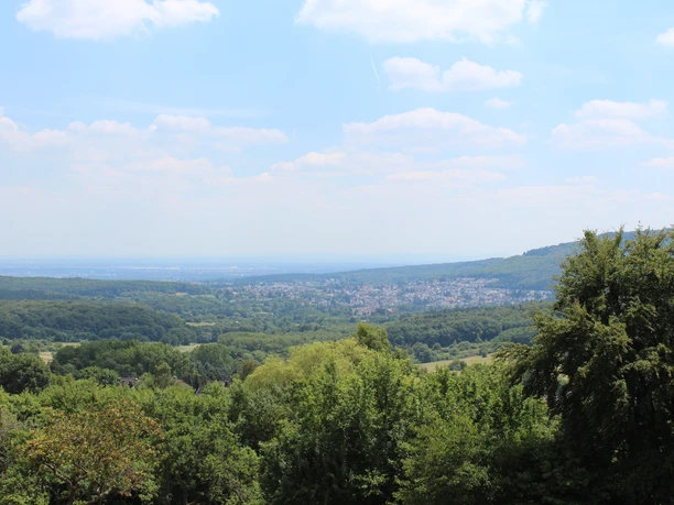 Blick vom Zauberberg in die Mainebene