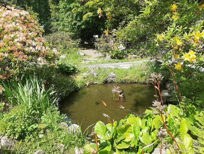 Forellengut Herzberger