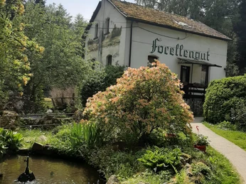 Forellengut Herzberger