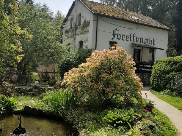 Forellengut Herzberger