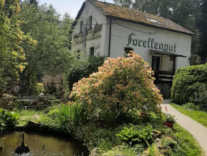 Forellengut Herzberger